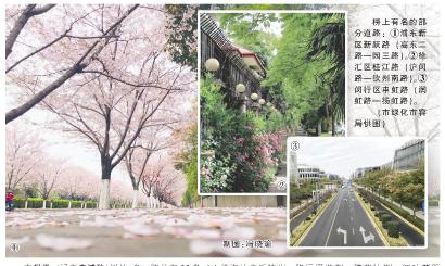 榜上有名的部分道路:①浦东新区新跃路(高东二路—园三路)。②徐汇区桂江路(沪闵路—钦州南路)。③闵行区申虹路(润虹路—扬虹路)。 (市绿化市容局供图)