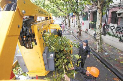 武进路上,园林工人登高对挂在空中的折断树枝进行切割。本报记者 蒋迪雯 摄