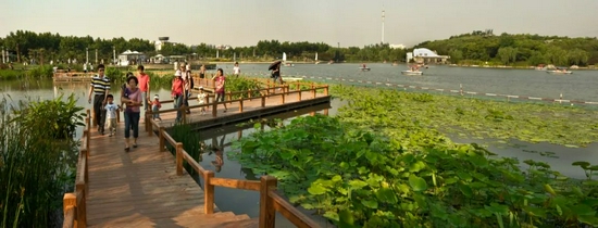 闵行体育公园,2004年1月建成(方忠麟 摄)