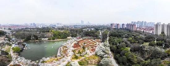 盘点徐汇区11家星级公园 详细名单一览