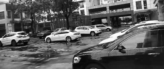 ■劳动报记者 胡玉荣 文 / 摄