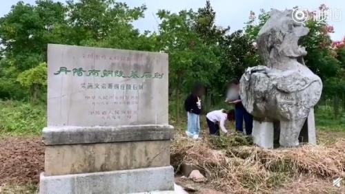 视频截图
