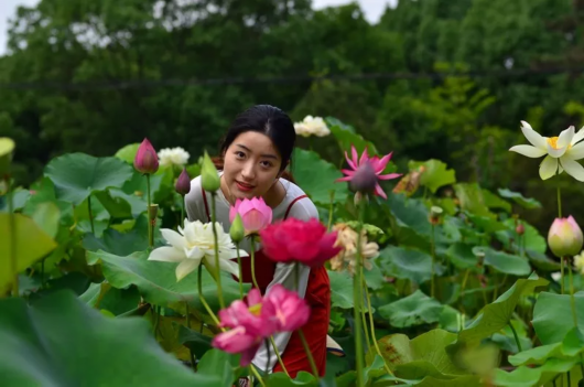 photo by傅长祥