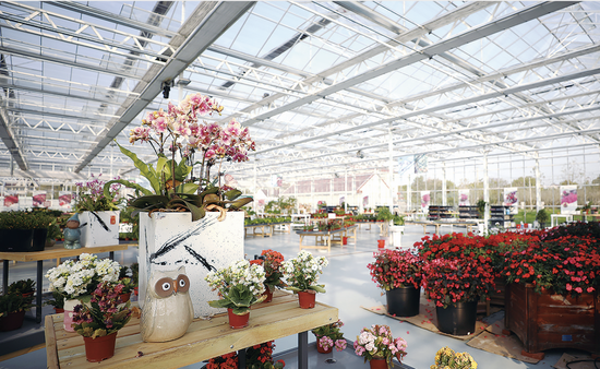 崇明智慧生态花卉园展示厅