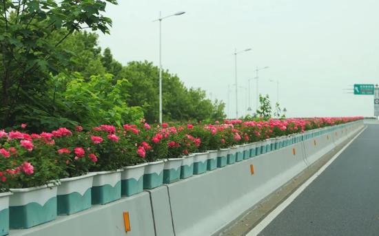 高架沿口花卉