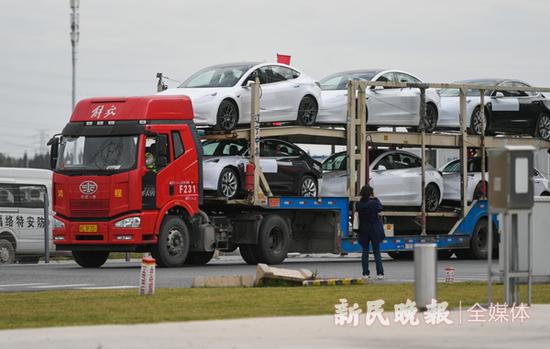 图说:首批近7000辆国产Model 3的整车将于明天启程,出口到欧洲市场。新民晚报记者 陈梦泽 摄
