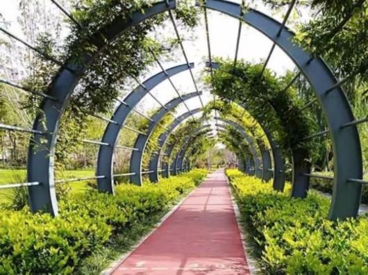 广西平南县经济林总量_广西平南县同和镇的图(3)