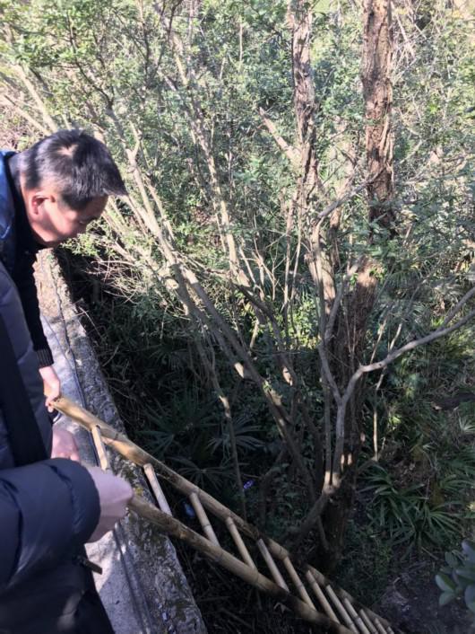 黑袖蓝袄男子正在将梯子换至动物园内侧,以便让记者爬下去。