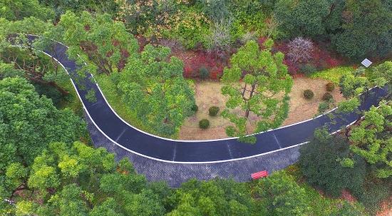 杨浦新江湾城区域绿道超10公里 城市生态绿廊渐形成_新浪上海_新浪网
