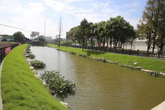 苏州河整治启动新三年计划 流经闵行河道将有
