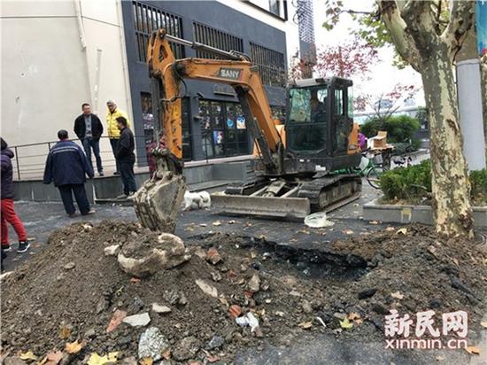 圖片說明:挖掘機現場作業 圖片均為新民晚報新民網陳浩攝