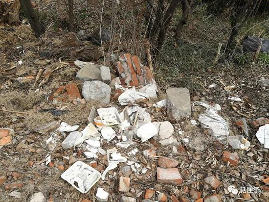 沪绿化带里有人长年烧垃圾埋渣土 记者调查被反锁其中