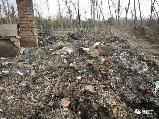沪绿化带里有人长年烧垃圾埋渣土 记者调查被反锁其中