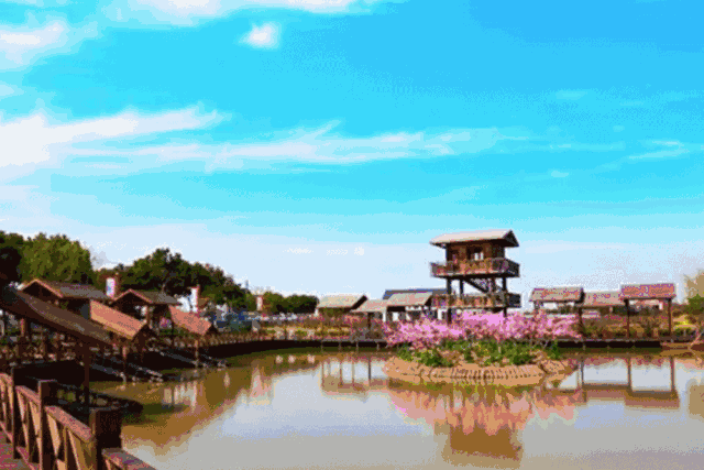 金山田野百花节本周六开幕 踏青攻略一览