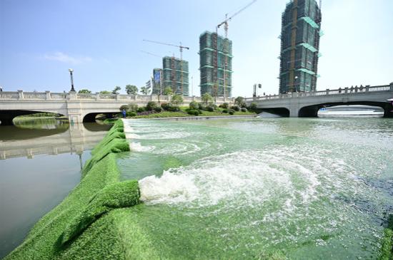 图说:滔滔黄浦江水引入兰香湖中。紫竹高新区供图