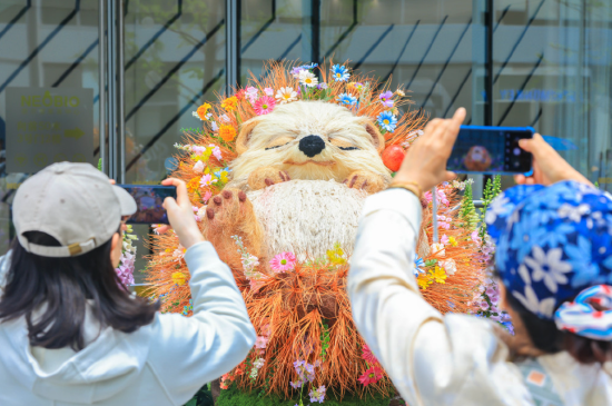  花卉节浦东前滩分会场。摄影：郑峰