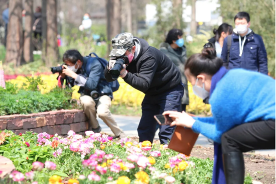 本周末，上海植物园吸引了不少游客。“上海植物园”微信公众号 图

