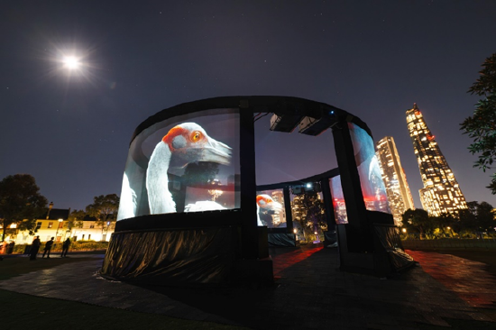 Nest_Barangaroo 图片来源:新南威尔士州旅游局