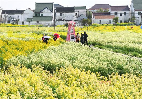 图说：游人欣赏美景 本报记者陶磊摄

