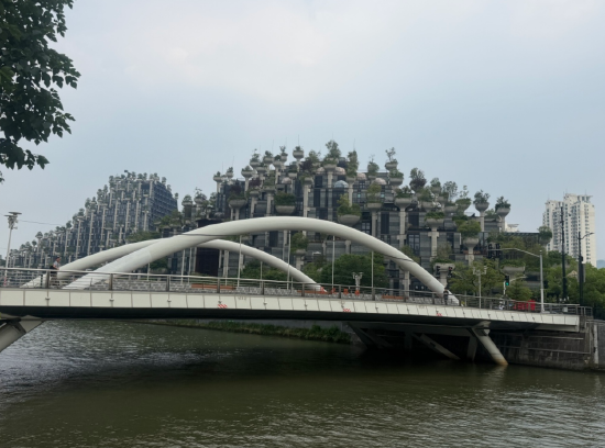 6月2日，苏州河，昌化路桥，天安千树。