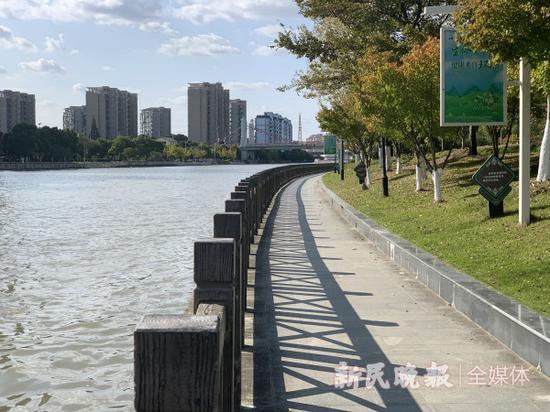 图说：赵家沟创评上海市三星级河道主题宣传活动在高行镇赵家沟畔召开 宋宁华/摄（下同）