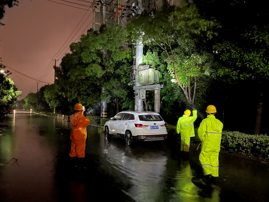 国网上海市北供电公司输电运检班组对跳闸线路进行特巡