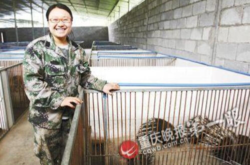 女子辞去年薪10万工作 回家乡养豪猪年入千万