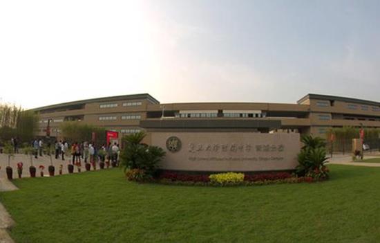 金山:上中双语学校、世外开分校