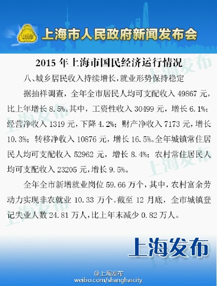 工资收入证明模板_上海 工资性收入(2)
