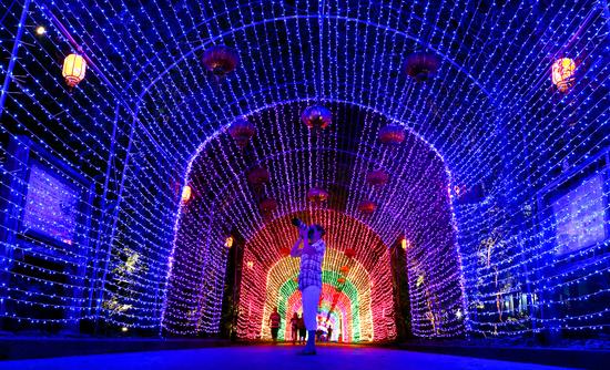 2016上海邮轮旅游节