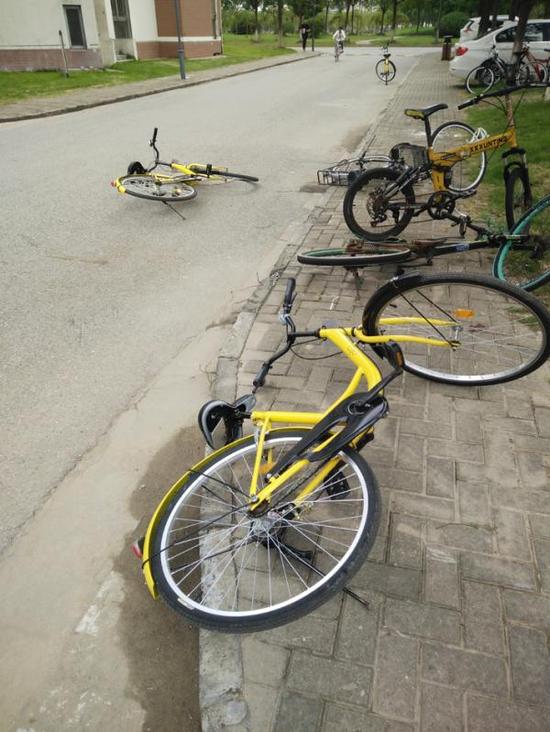 沪高校共享小黄车部分损毁严重 机械密码锁破