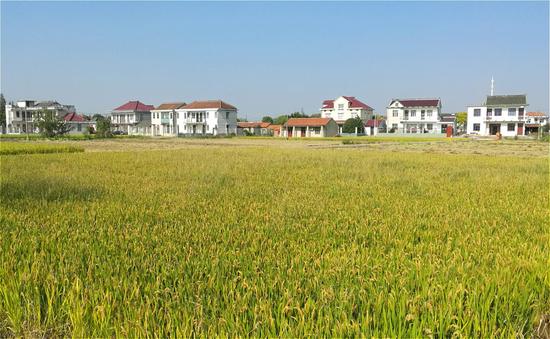 上海中介公开挂牌买卖农村宅基地 国家明令禁