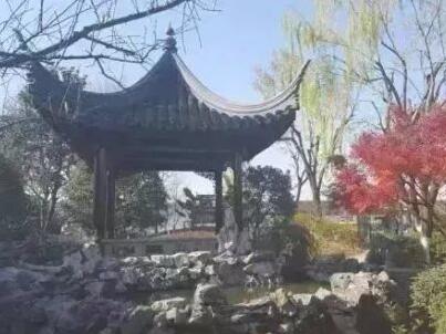 古藤园