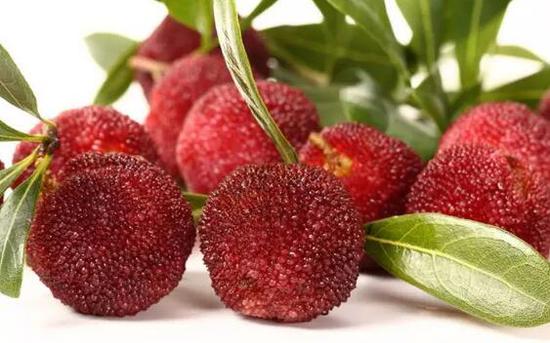 喉咙痛应该吃哪些水果:甘蔗等