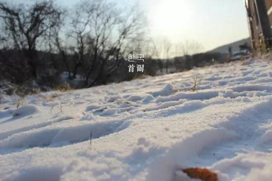 差旅必备 2017年出境旅行的各国签证新政策