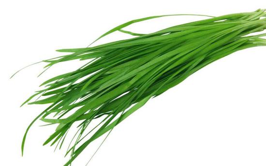 适合冬季吃的7大温补食物 增强抵抗力