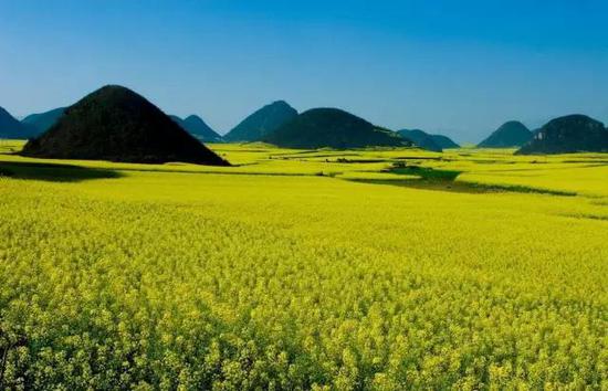 环绕着无数锥状小山包