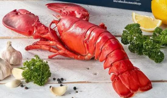 如何在西餐厅里优雅地吃龙虾 享受美食