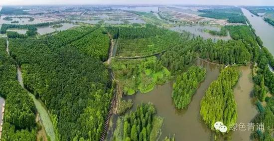 上海浦江等三座郊野公园开园时间公布