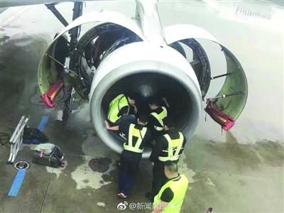 八旬老太将硬币扔进飞机发动机 称是为祈求平