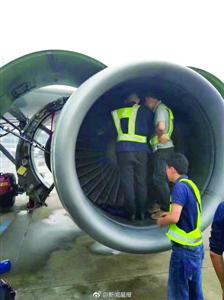 扔硬币老太被行政拘留5日 因年龄超过70岁不予执行