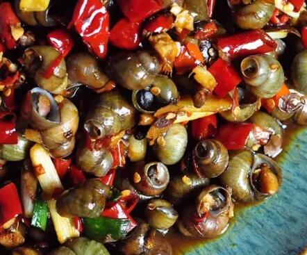 夜宵美味香辣田螺做法 绝对不输小龙虾