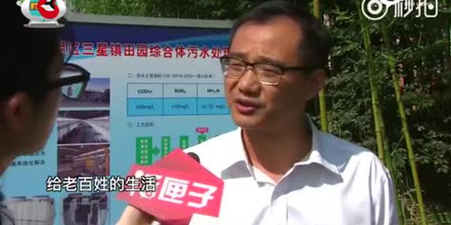 2017夏令热线"区长一诺"之崇明区区长李政