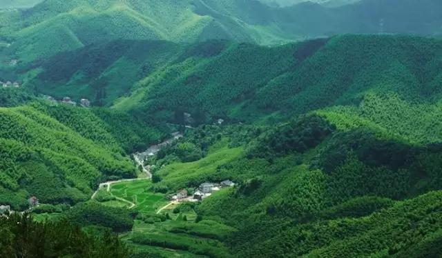 莫 干 山