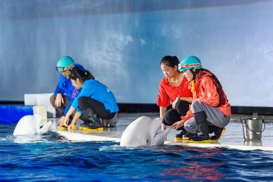 白鲸剧场全面升级,声光水影带来沉浸式颠覆体验