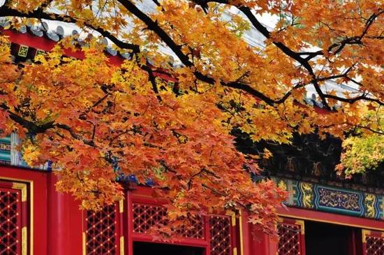 北京香山