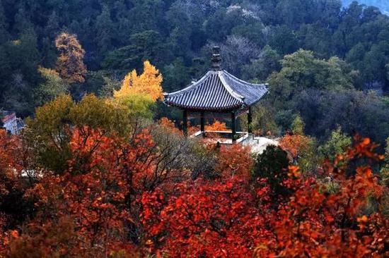 南京栖霞山