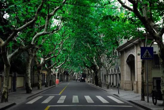 绍兴路