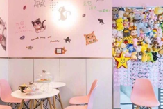 魔都8家撸猫咖啡馆合集