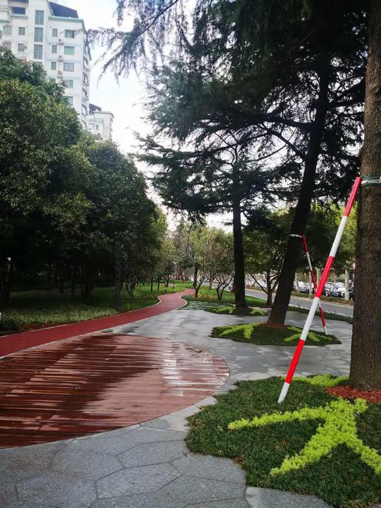 广粤路绿道